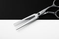 Supra Offset 5.75 Tulip (34) Conblade