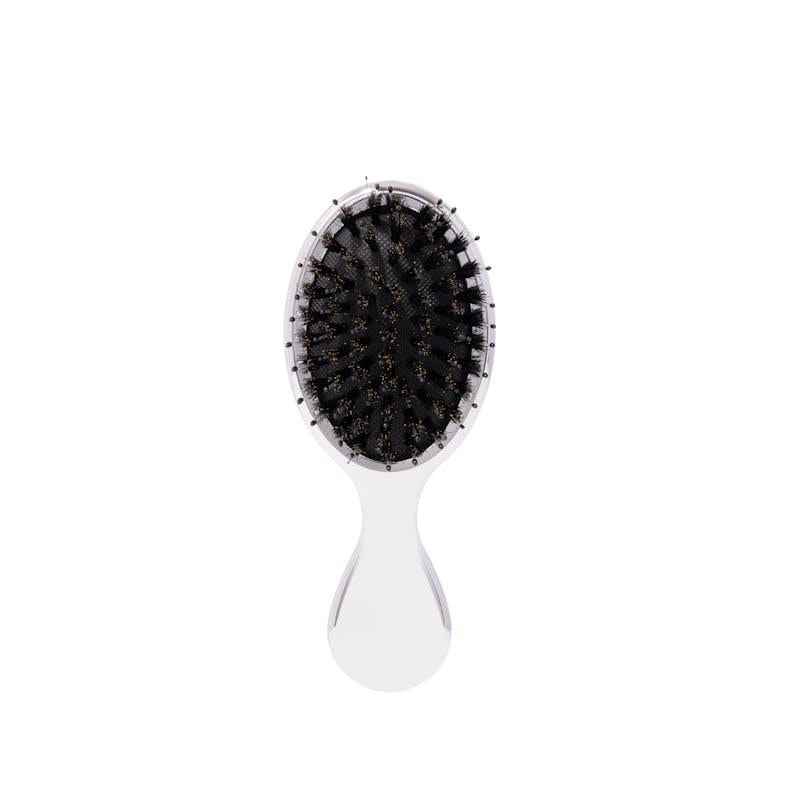 Brushology Mini Boar Bristle Hairbrush No.1