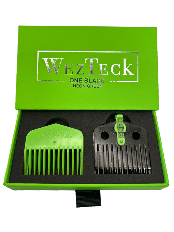 NEW V.2 WezTeck One Blade