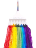 Colortrak Pride Color Brush