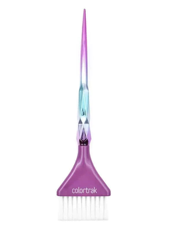 Colortrak Aurora Collection 2-Pack Color Brushes