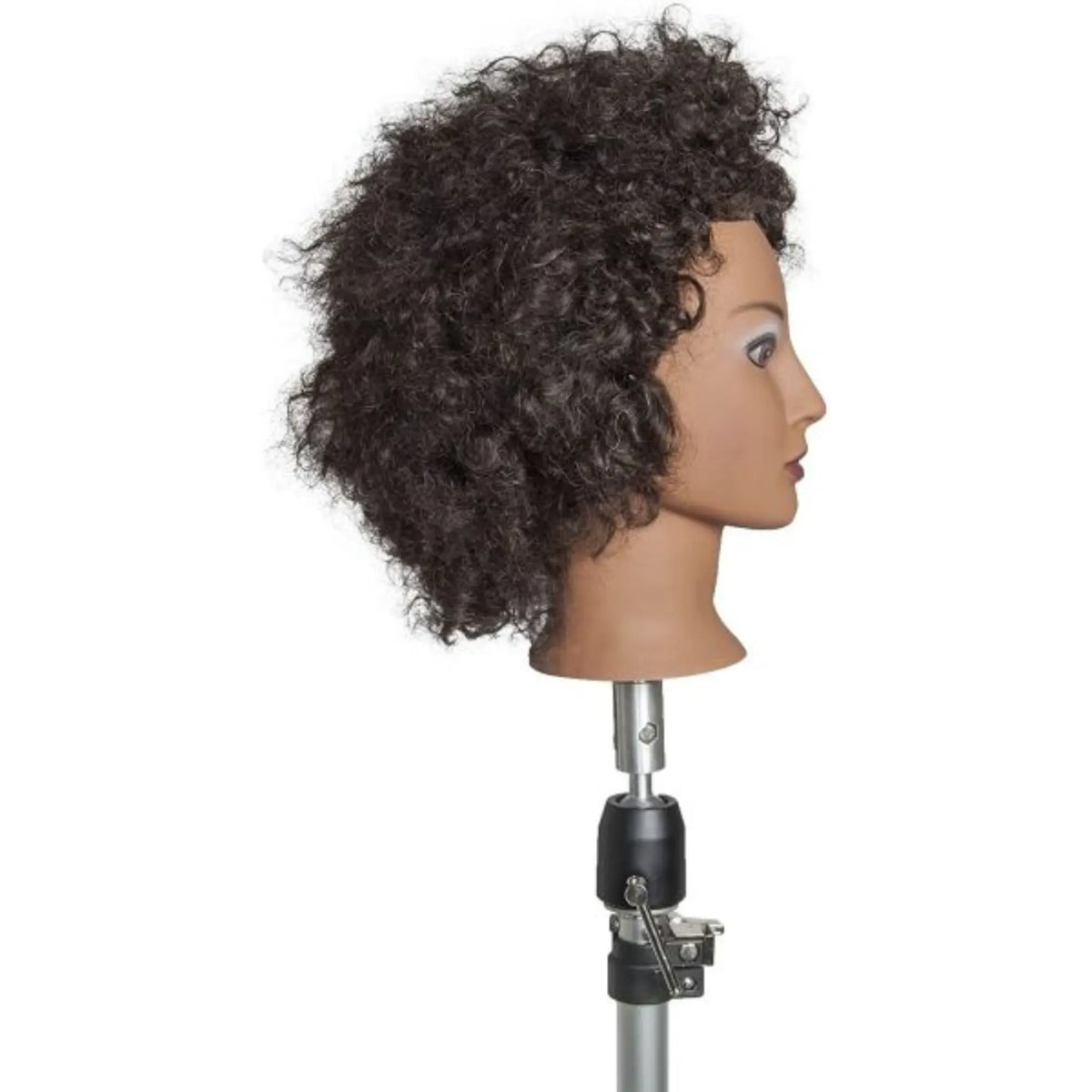 Diane Naomi Mannequin Head #D315