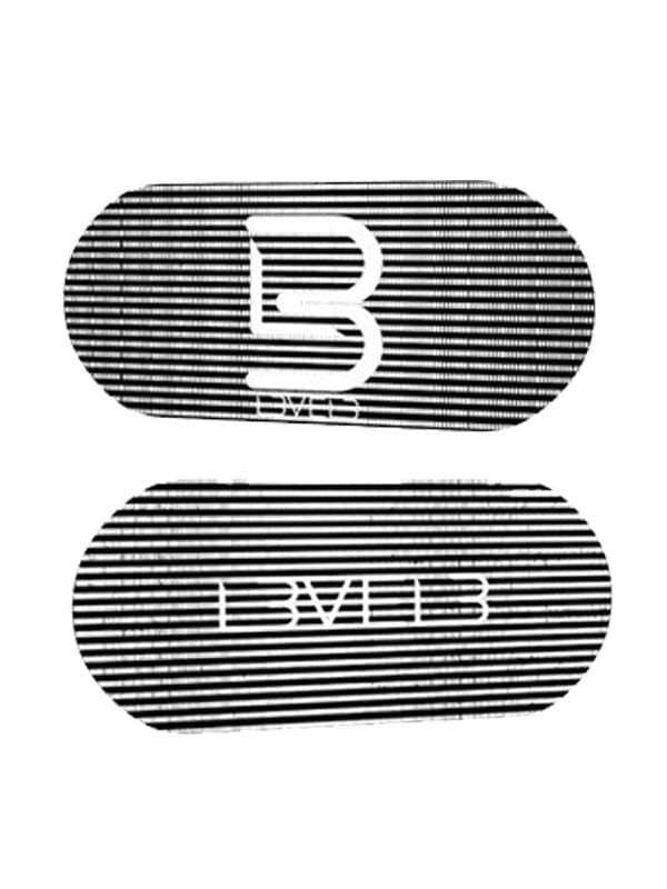 L3VEL3 Hair Grips 4 Pieces #MS020