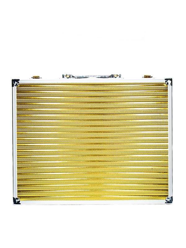 Vincent Master Case - Small - Gold